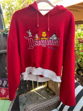 Disney vintage Red Winnie the Pooh Hoodie Sweater